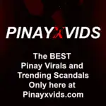 Pinayxvids Banner